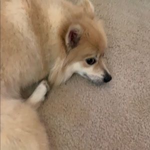 Meet your Posher, Faith